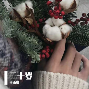 淫乱视频免费观看
