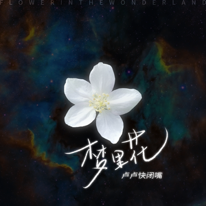 淫乱视频免费观看
