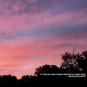 淫乱视频免费观看
