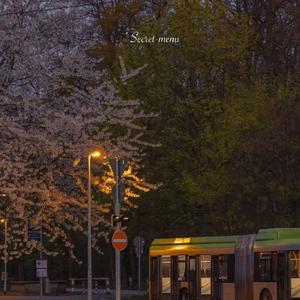 淫乱视频免费观看
